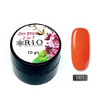 Paint Gel #001