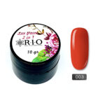 Paint Gel #003