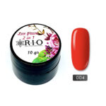 Paint Gel #004