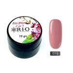 Paint Gel #015