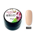 Paint Gel #017