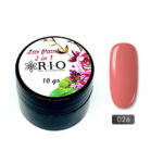 Paint Gel #026