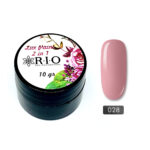 Paint Gel #028