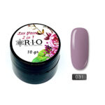 Paint Gel #031