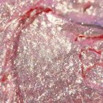 Peach Platinum Gel 10g - imagine 2